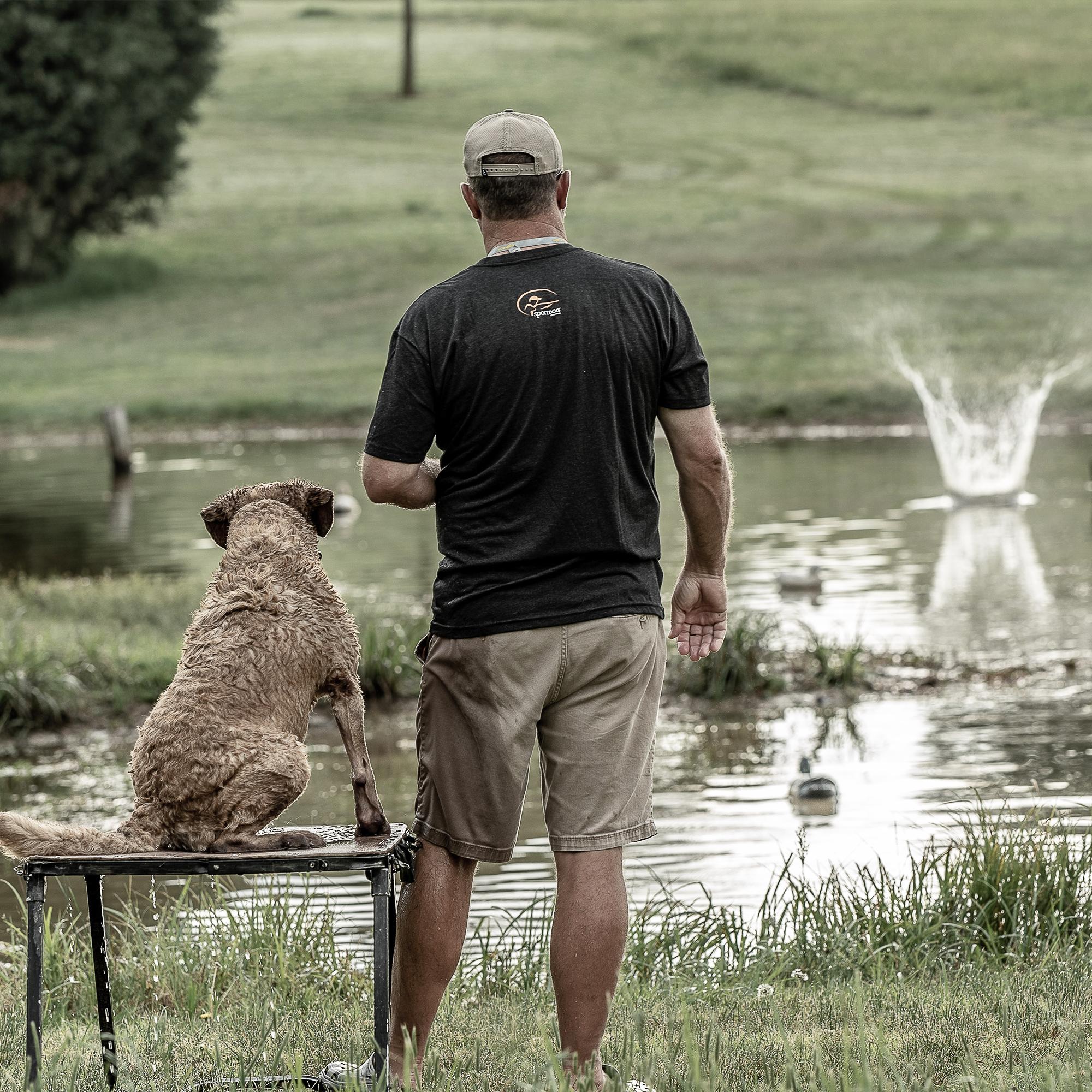 The backs of a Chesapeake Bay Retriever on a stand and a handler watching a dummy hit the water with a splash