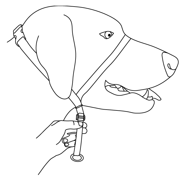 fit-nose-loop-gentle-leader-headcollar-illustration6