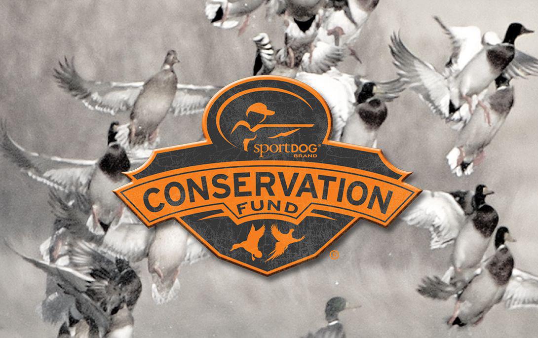SportDOG conservation logo with ducks flying as backdrop.