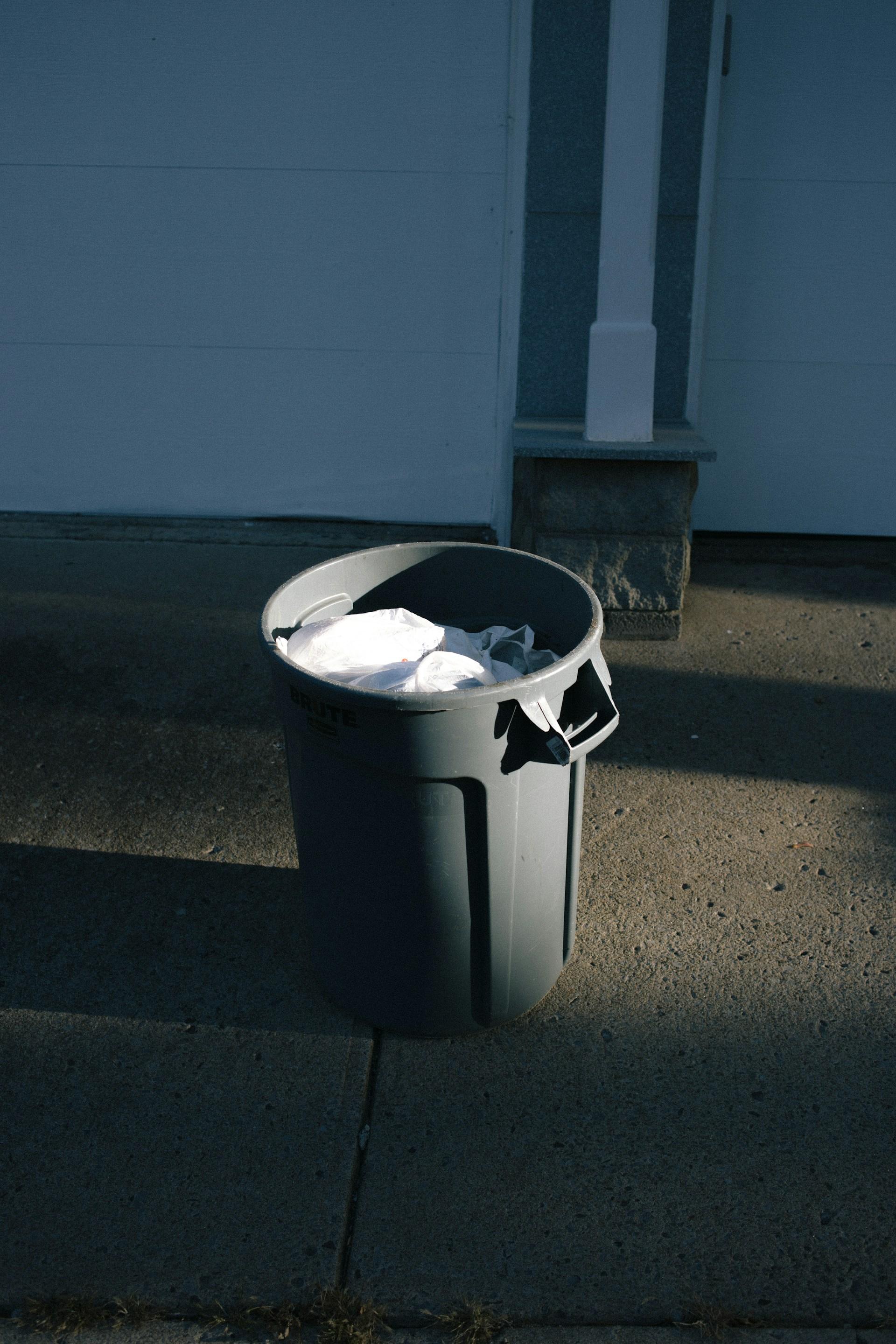 How To Dispose of Cat Litter EcoFriendly Tips PetSafe®