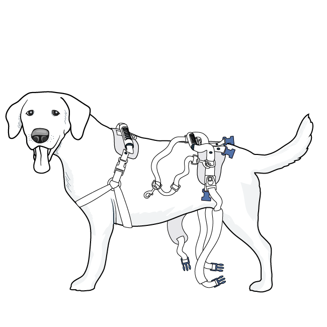setup-care-lift-rear-support-harness-illustration1
