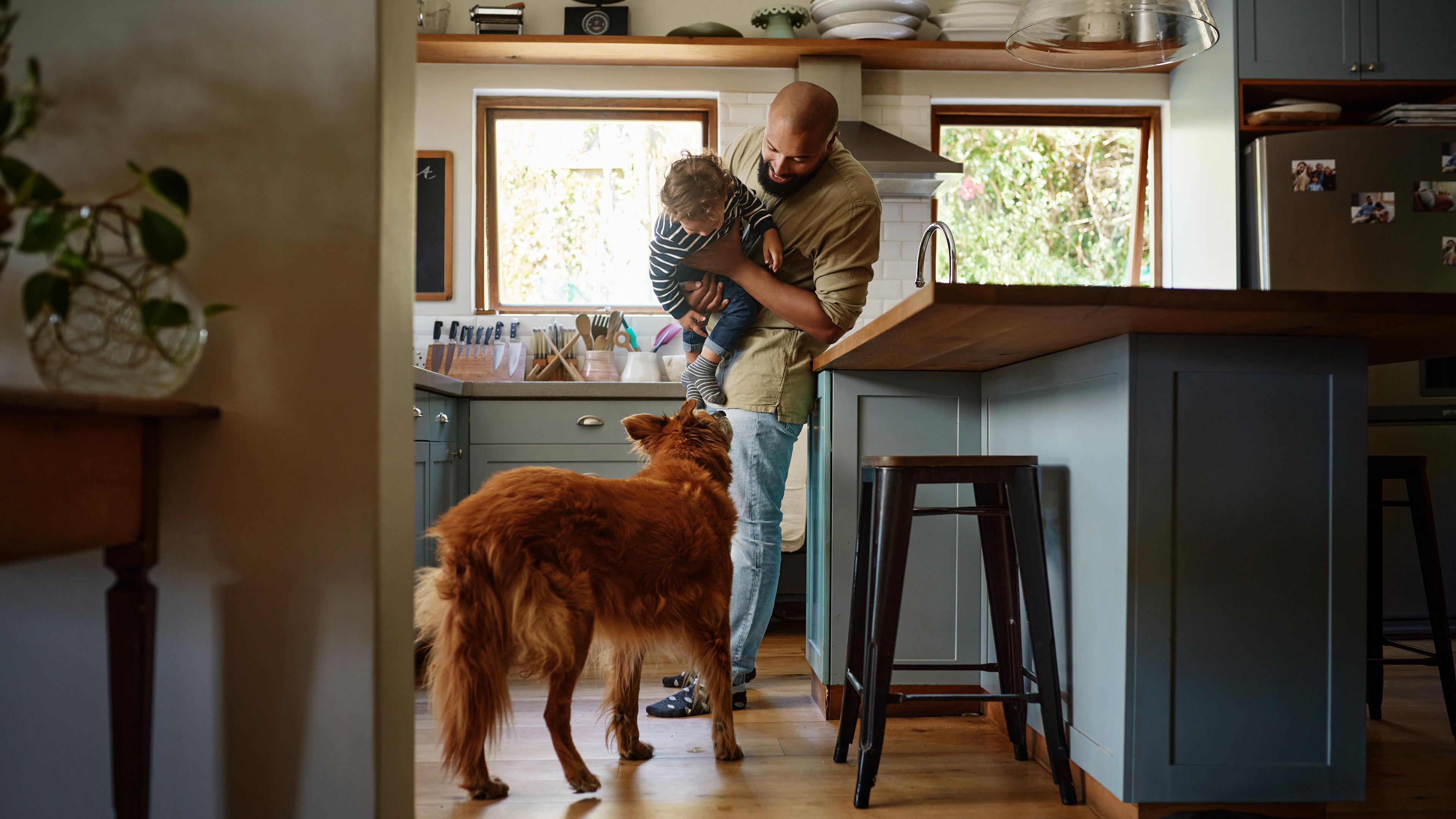 man plays with his son and dog in the kitchen