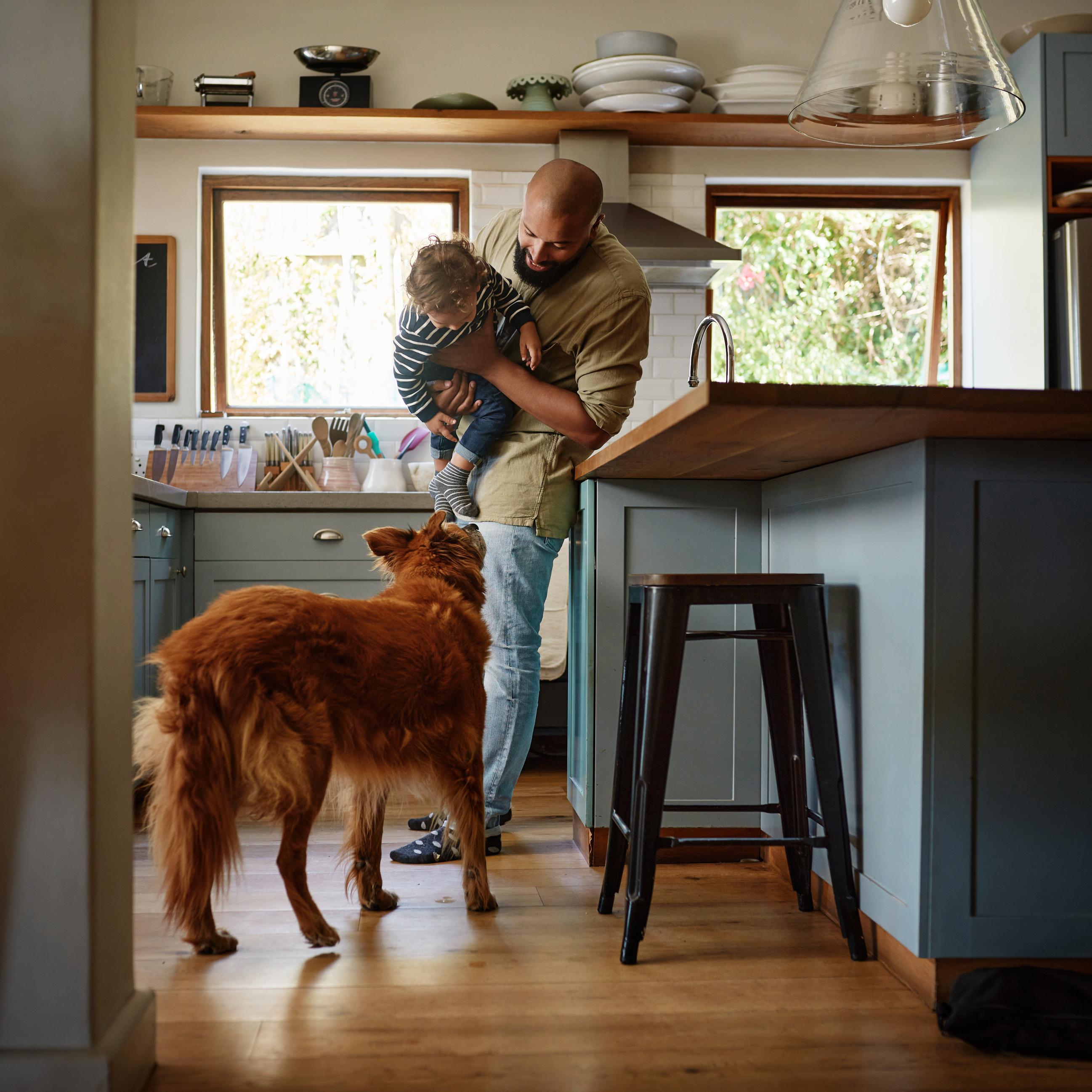 man plays with his son and dog in the kitchen