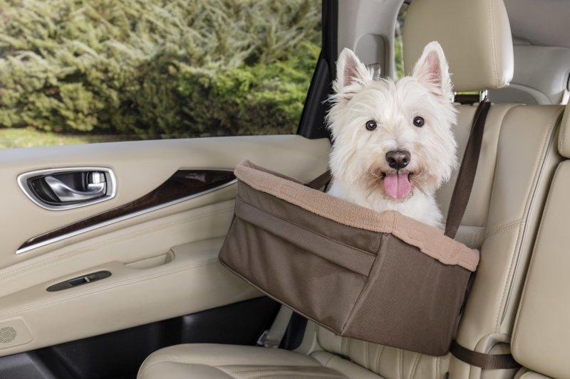 Six pet-travel tips for your dog days getaway