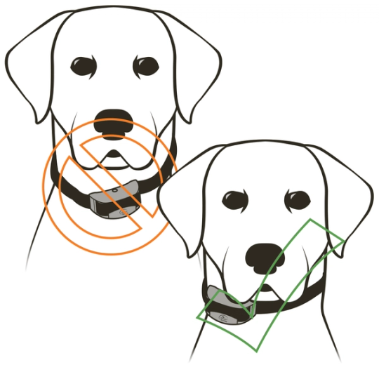 SD 425X_Center Collar Receiver Around Dogs Neck