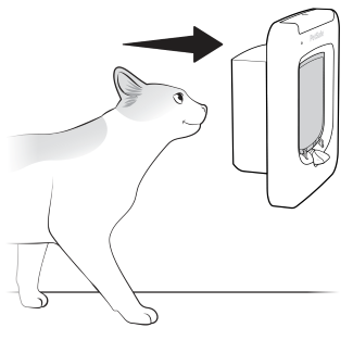 Place cats head into tunnel to scan microchip