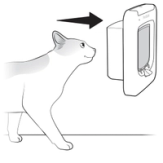 Place cats head into tunnel to scan microchip