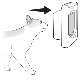 A closer look at Microchip Cat Door Rethink Review