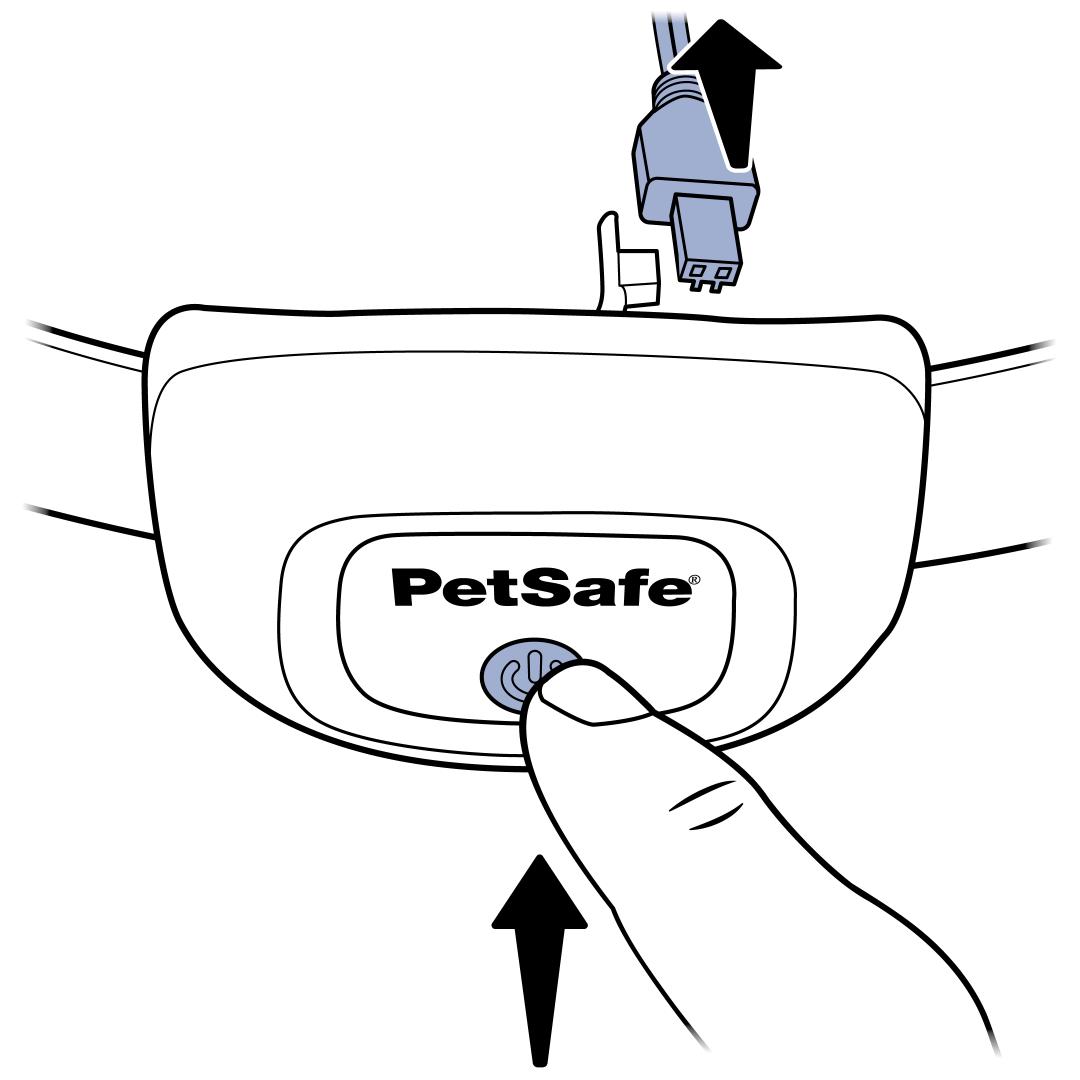Remove collar from charger, hold power button
