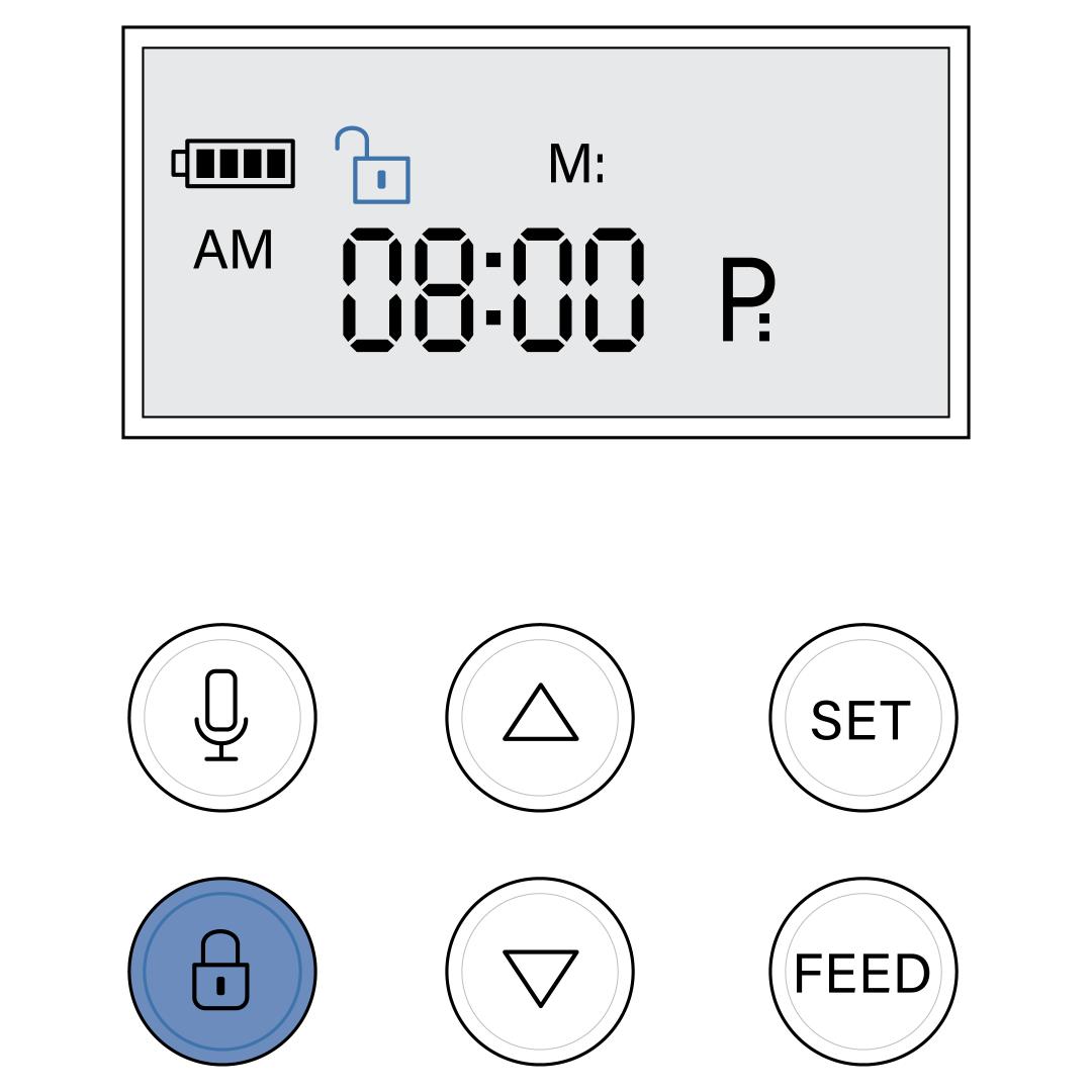 Unlock Icon And Lock Button
