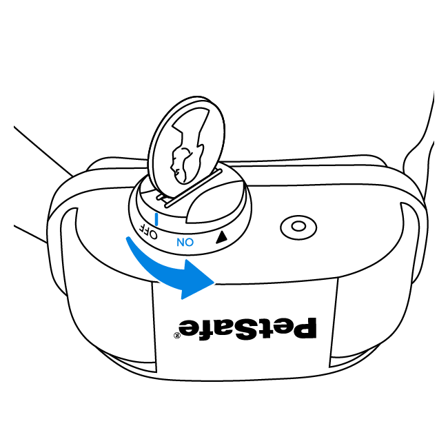 Vibration Bark Control Collar Set Up