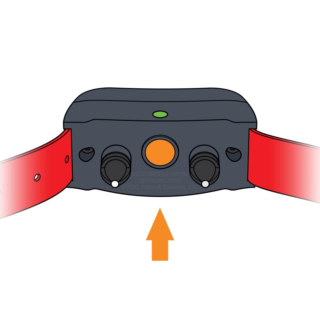 Power Button With Green Light_Red Strap