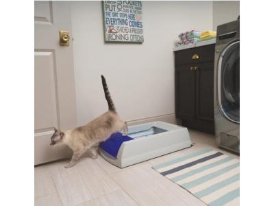 litter box in laundry room