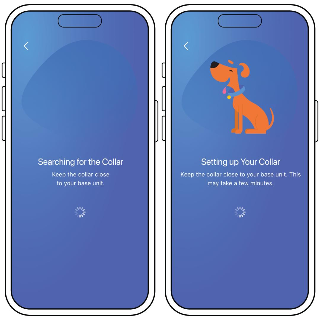 Searching and Setting Up Collar