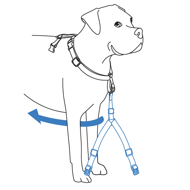 how-to-fit-3-in-1-harness-illustration3
