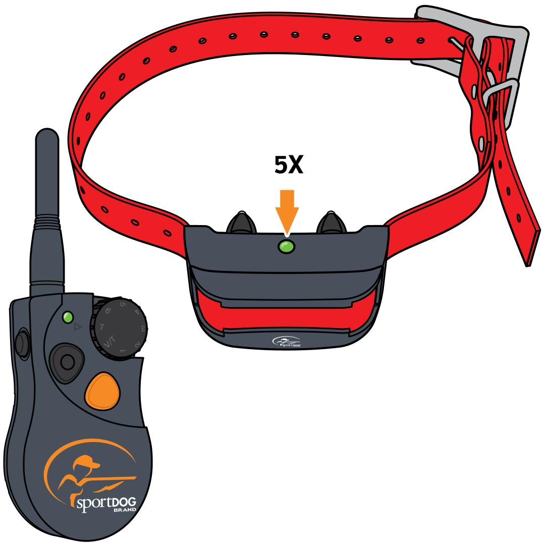 Pair Collar With Lower Button