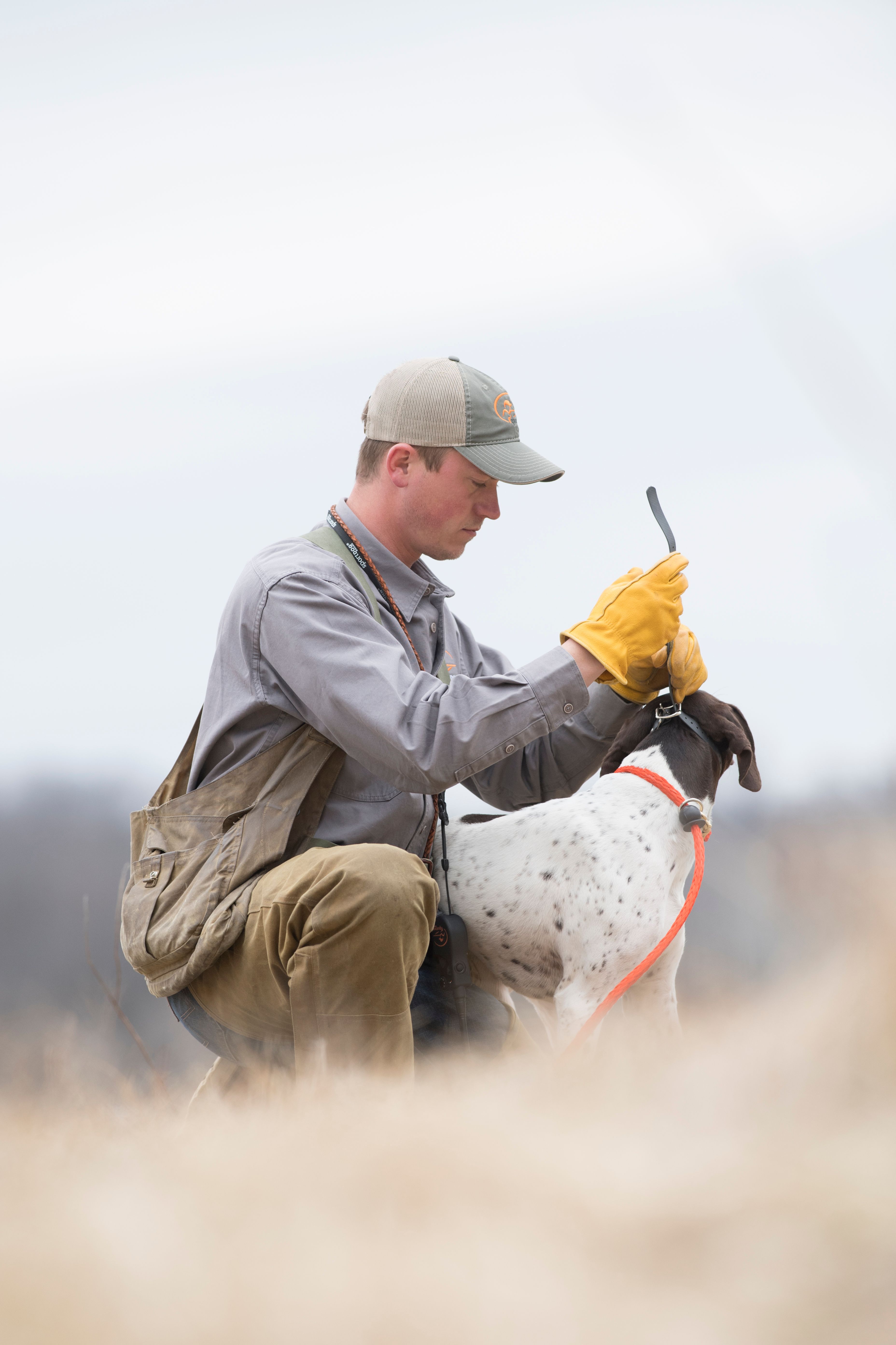 Best e collar clearance for german shorthaired pointer