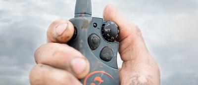 An e-collar remote in someone's hand