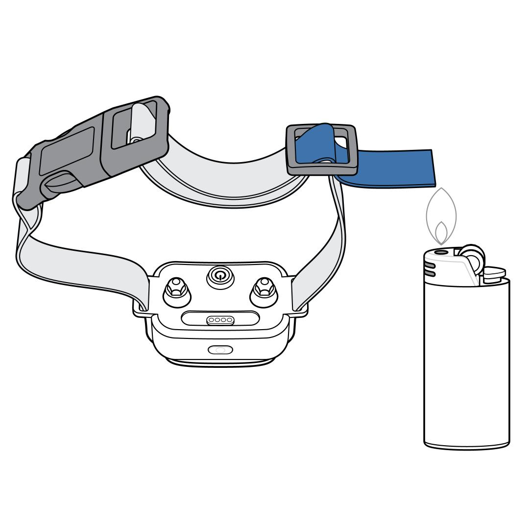 Seal Strap