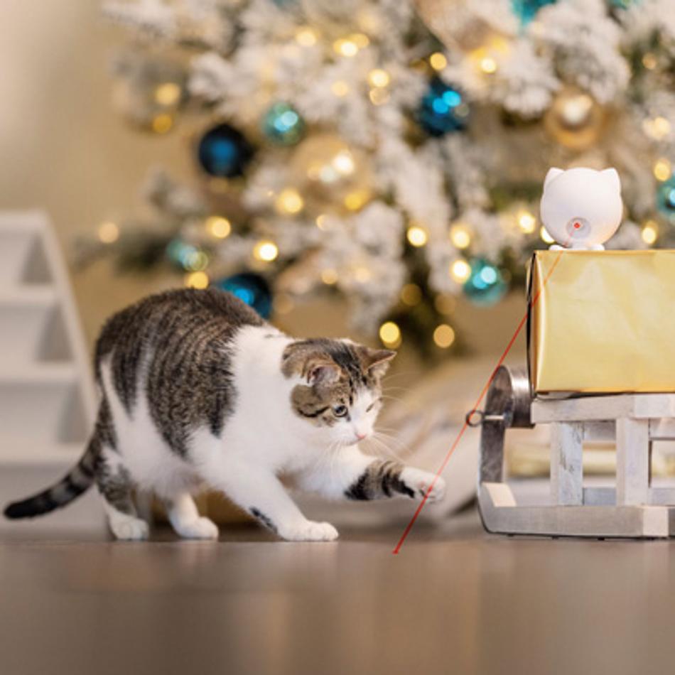 The 9 best cat gifts for your pretty kitty this Christmas