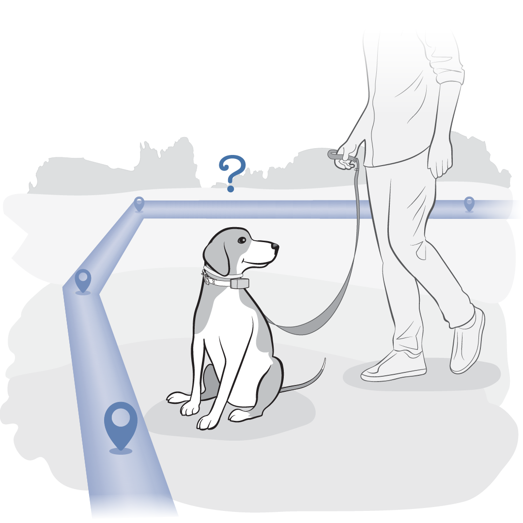 dog on leash looks curious