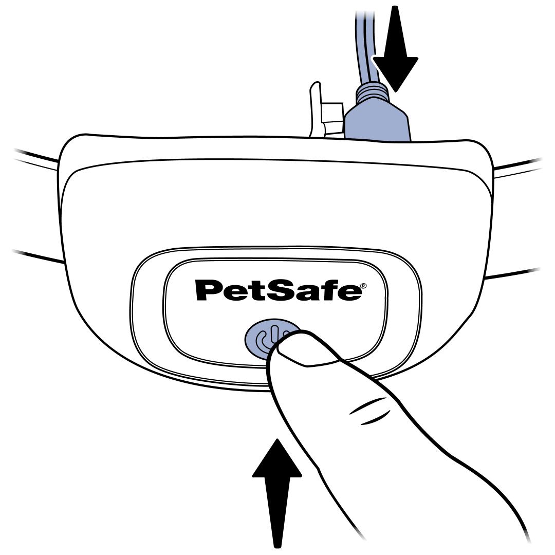 Collar on charger, hold power button