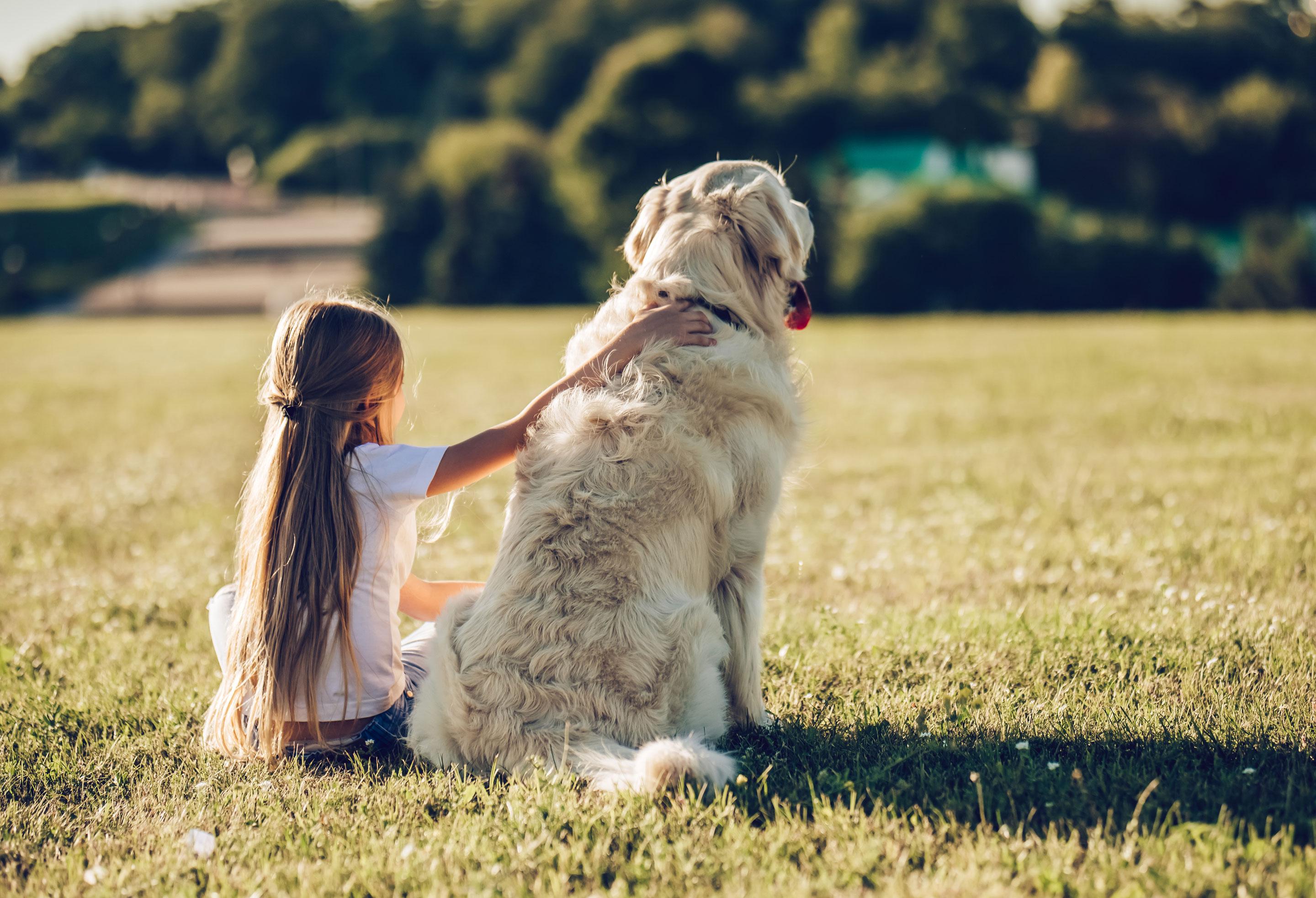 Girl sitting in field petting her dog