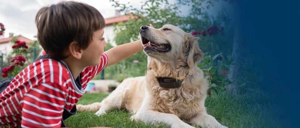 Dog petting boy while lounging outside