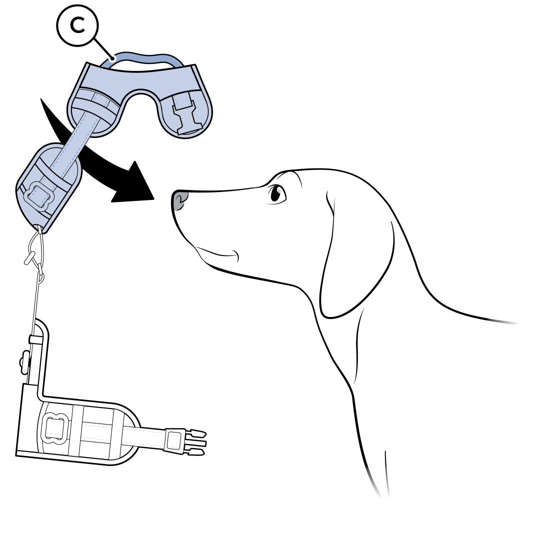Slide Harness Over Dogs Head