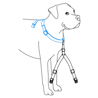 adjust-shoulder-strap-petsafe-sure-fit-harness-illustration1