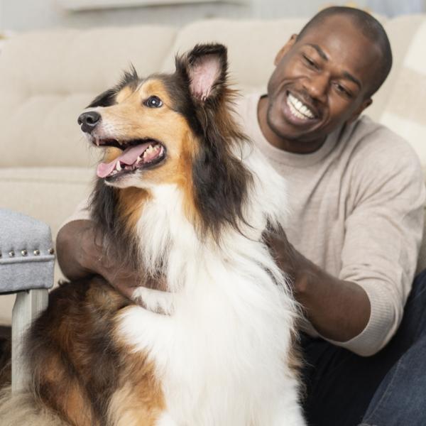 Man and collie