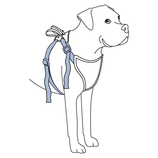 how-to-use-happy-ride-safety-harness-fit-harness-steps-illustration3