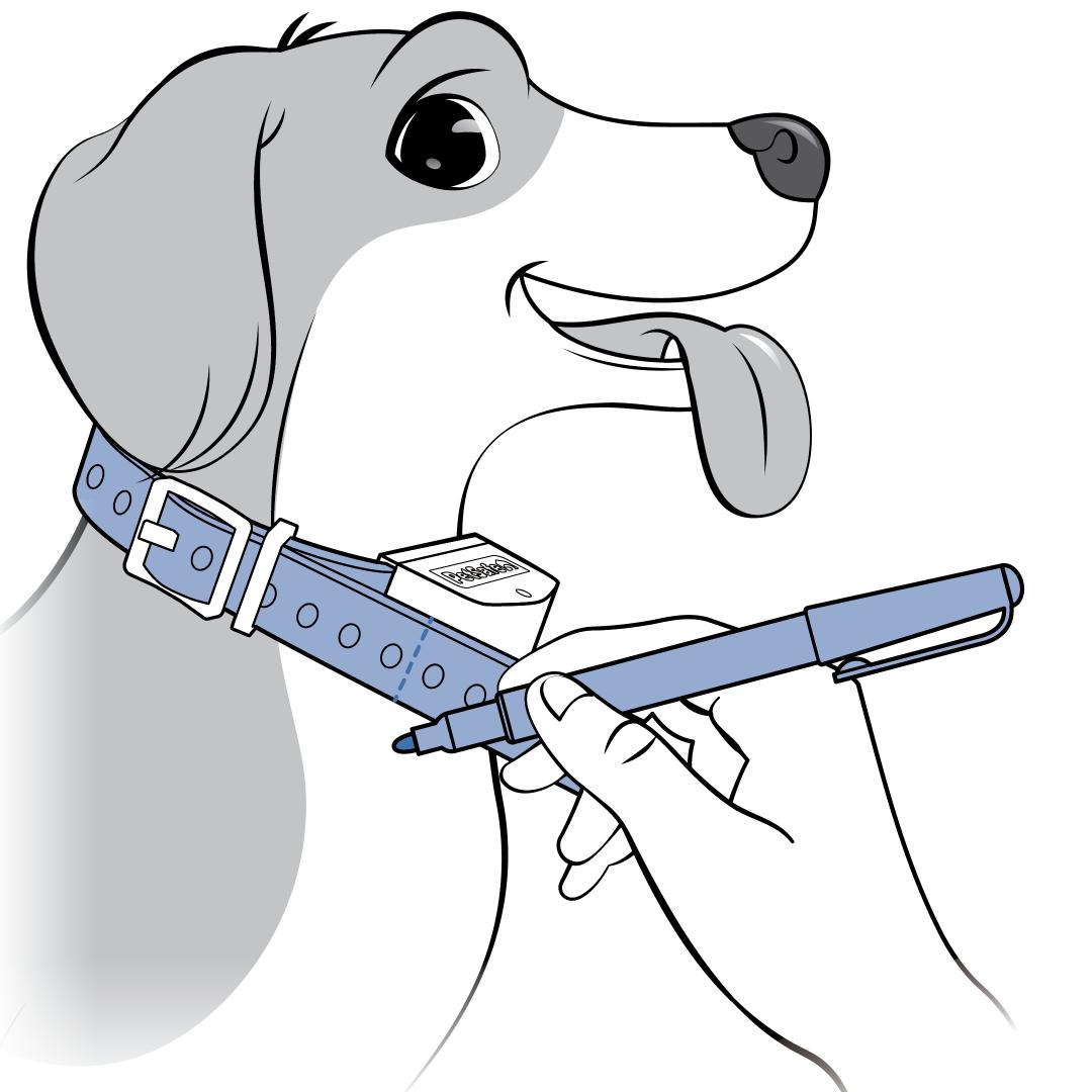 Mark the Collar Strap with a Pen