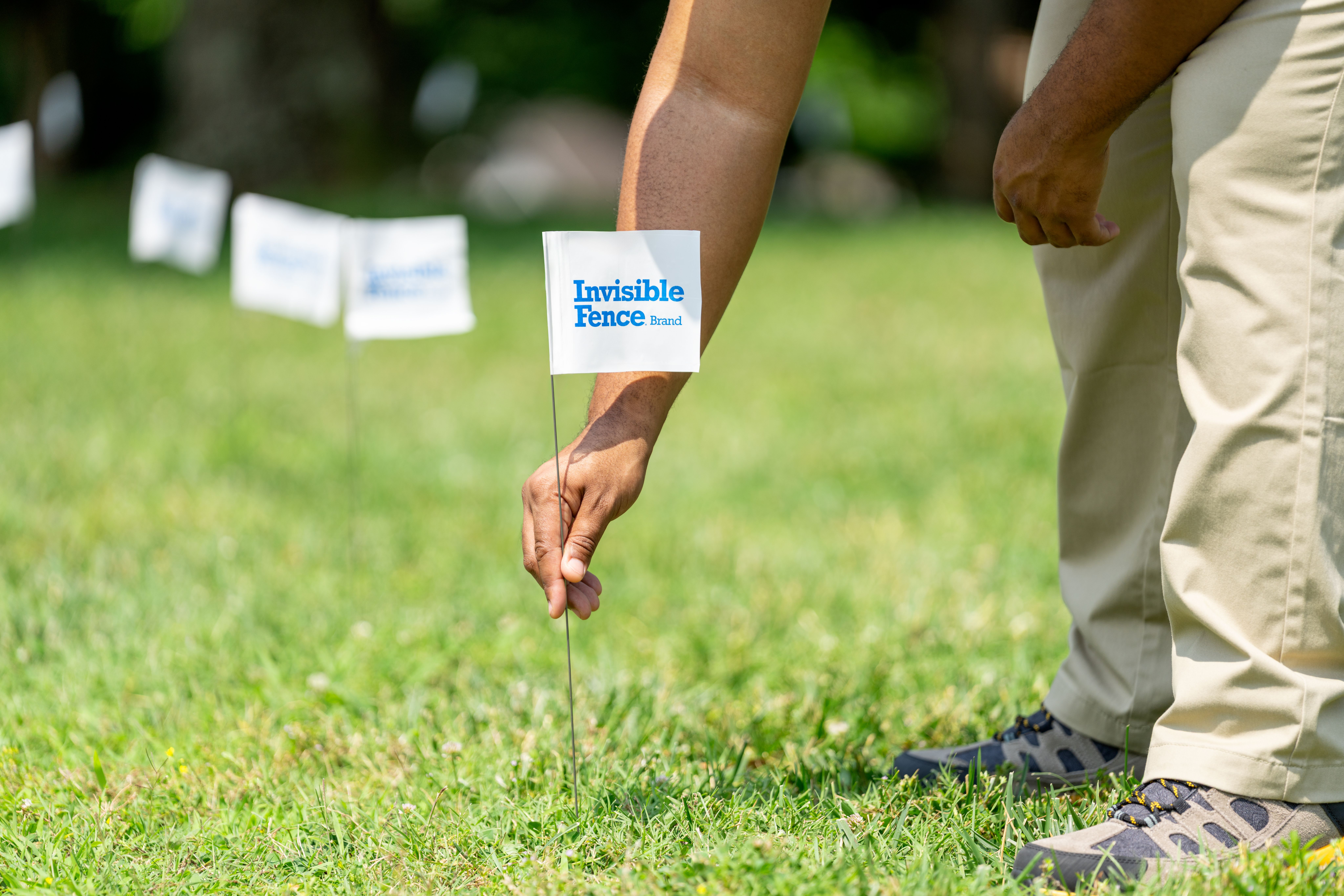 invisible fence technician places boundary flag