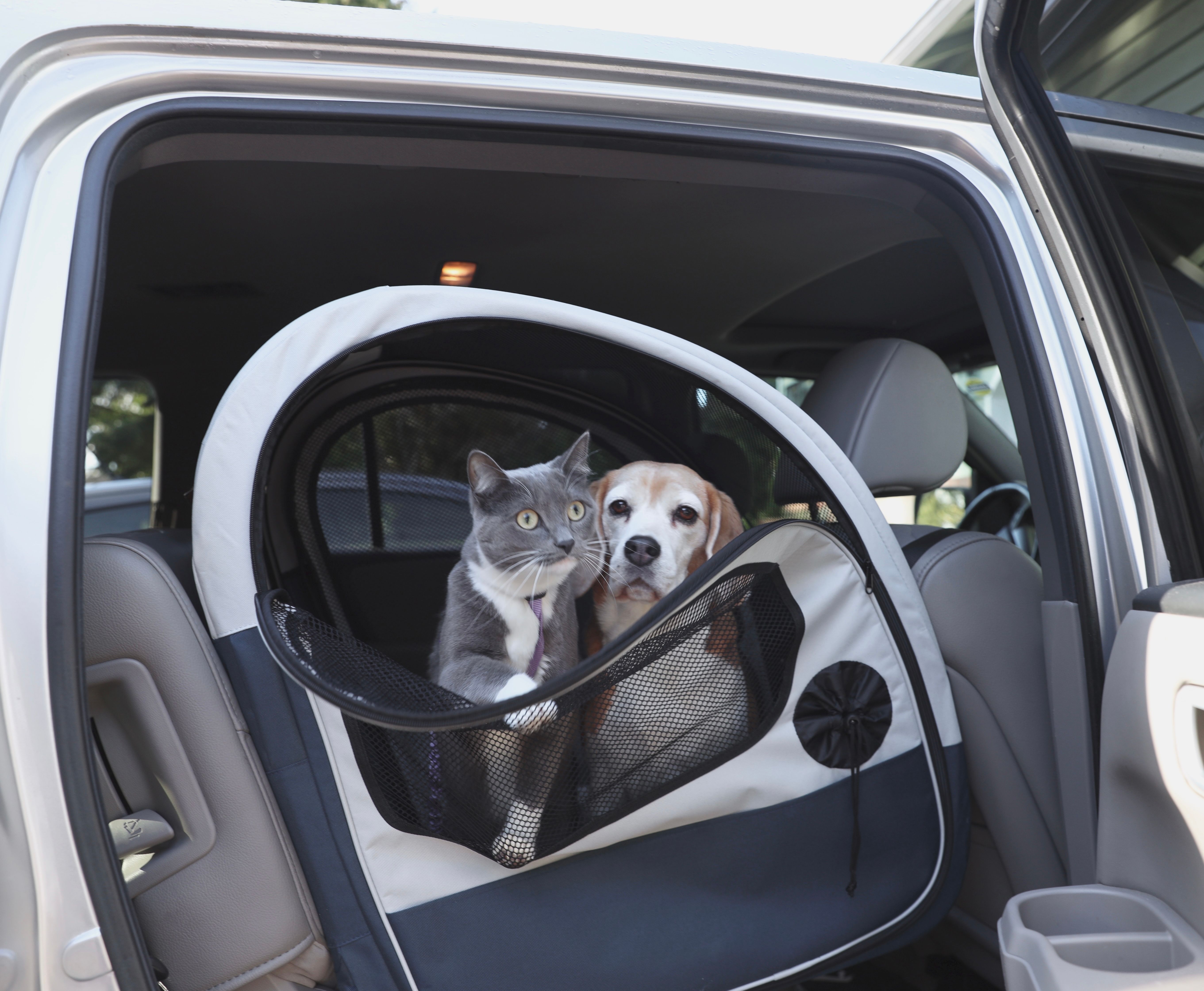 Dog and cat sitting in Happy Ride Collapsible Travel Crate