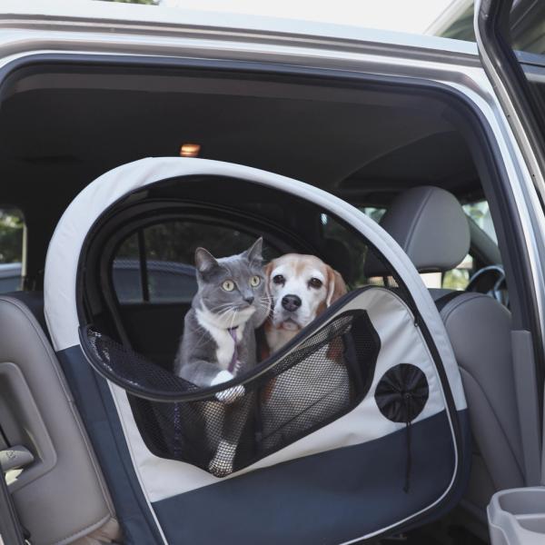 Dog and cat sitting in Happy Ride Collapsible Travel Crate
