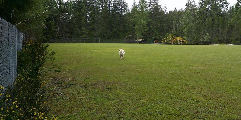 Long-side-of-fence