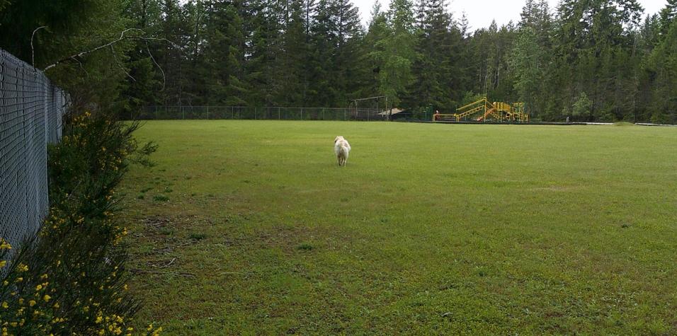 Long-side-of-fence
