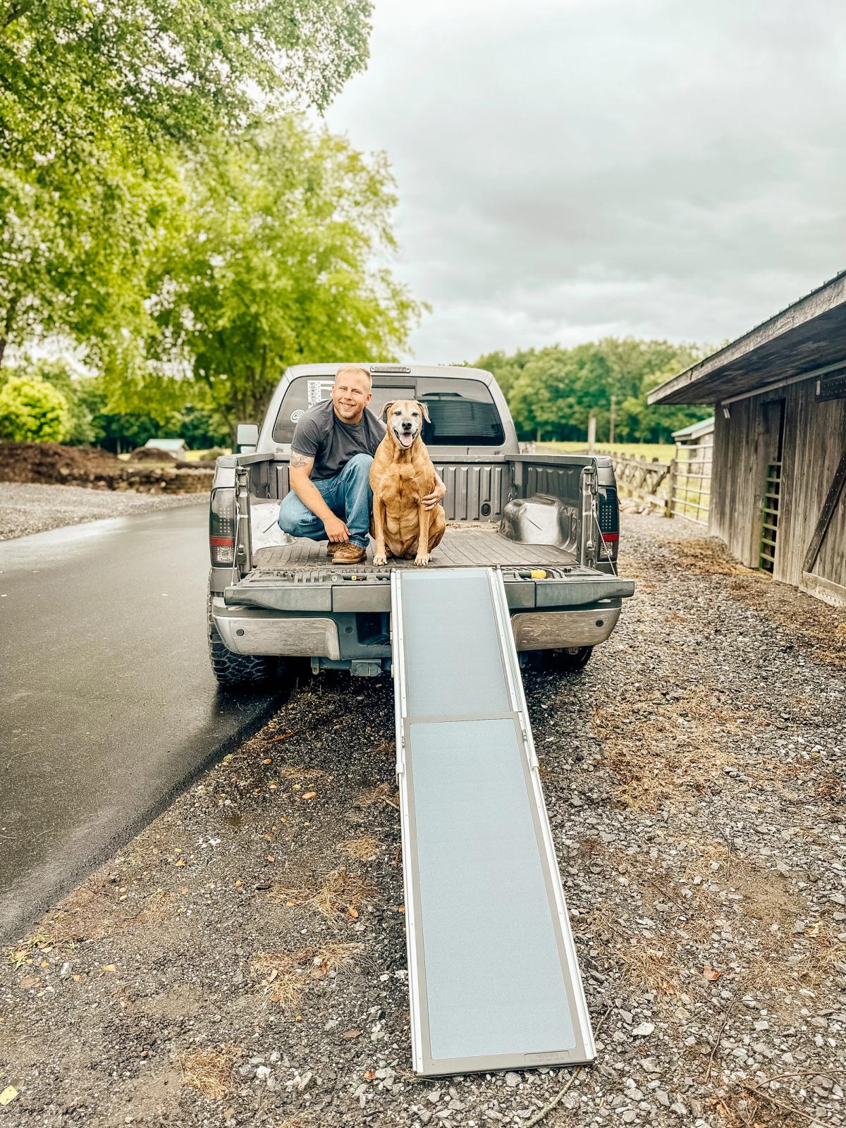 Dog Steps & Ramps for Indoor & Outdoor Use | PetSafe®