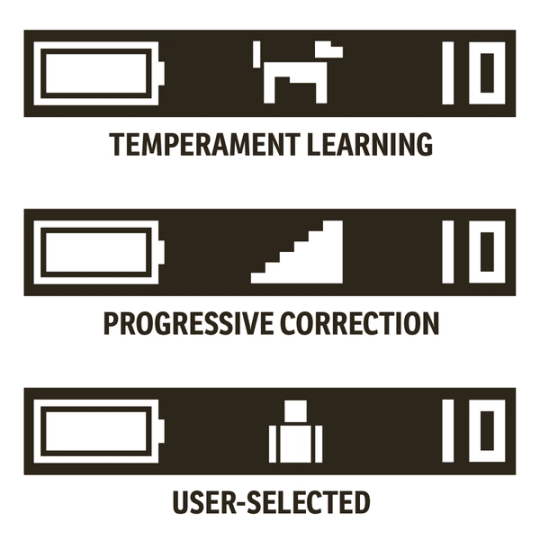 OLED Display 3 Modes