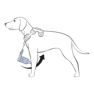 Pull Girth Strap Between Dogs Front Legs