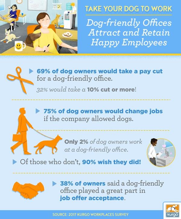 Take Your Dog to Work: Dog-Friendly Office Attract and Retain Happy Employees