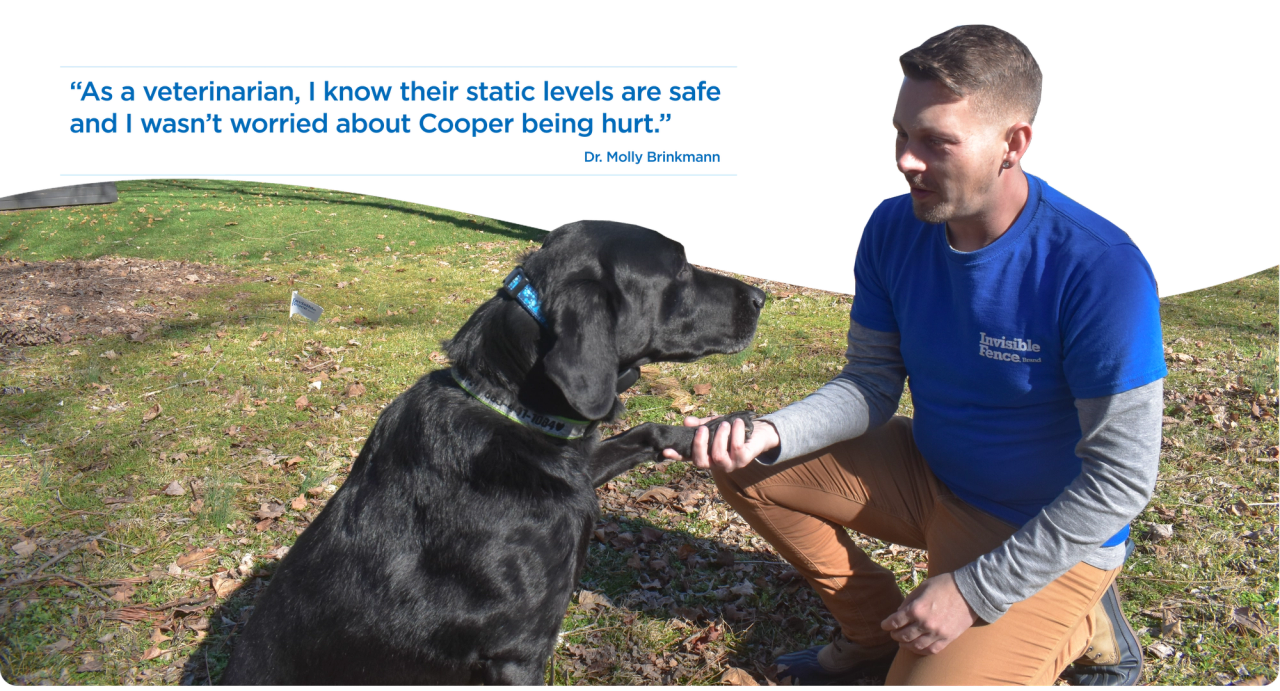 Invisible Fence trainer working with Dr. Molly's dog Cooper.