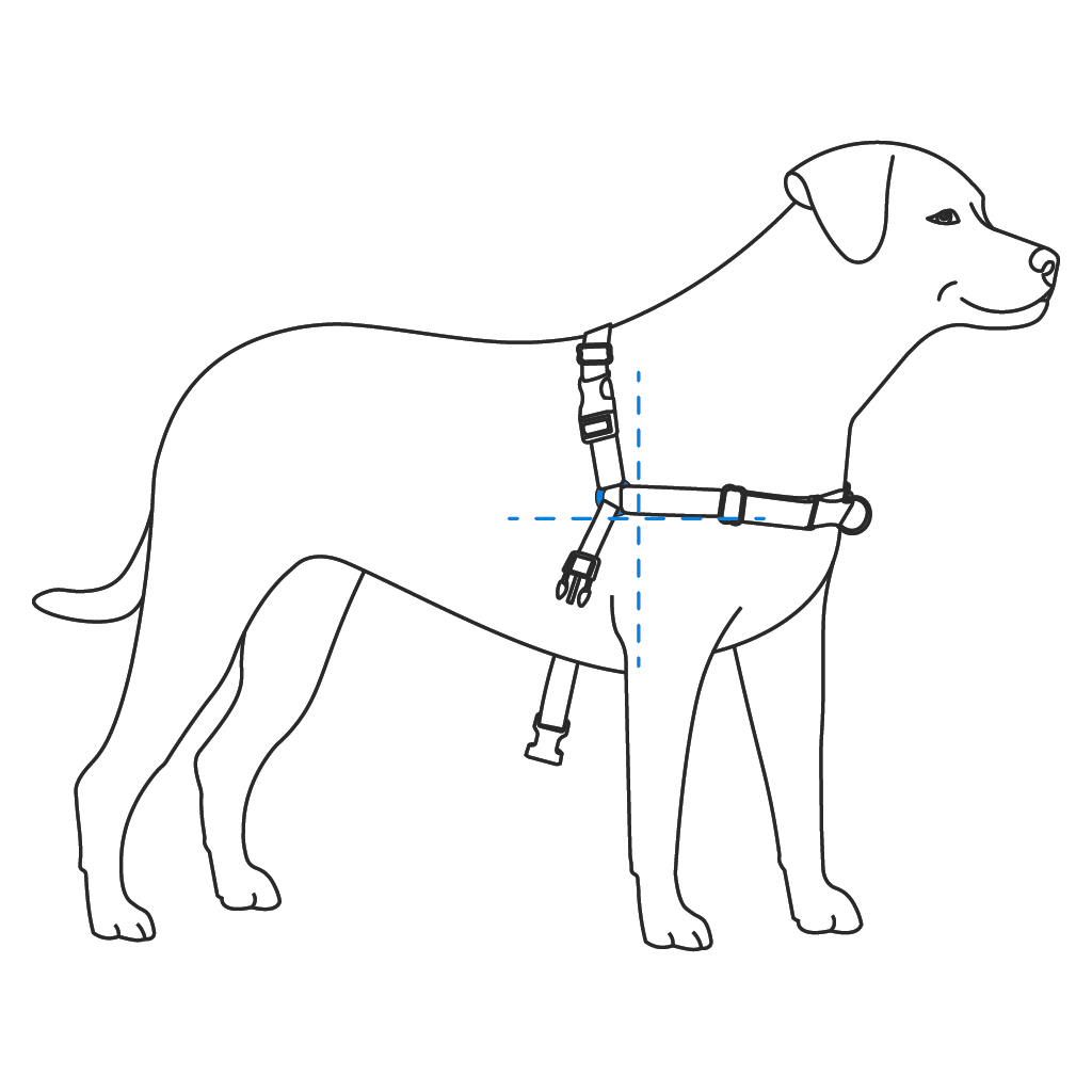 fit-shoulder-strap-easy-walk-harness-illustration3