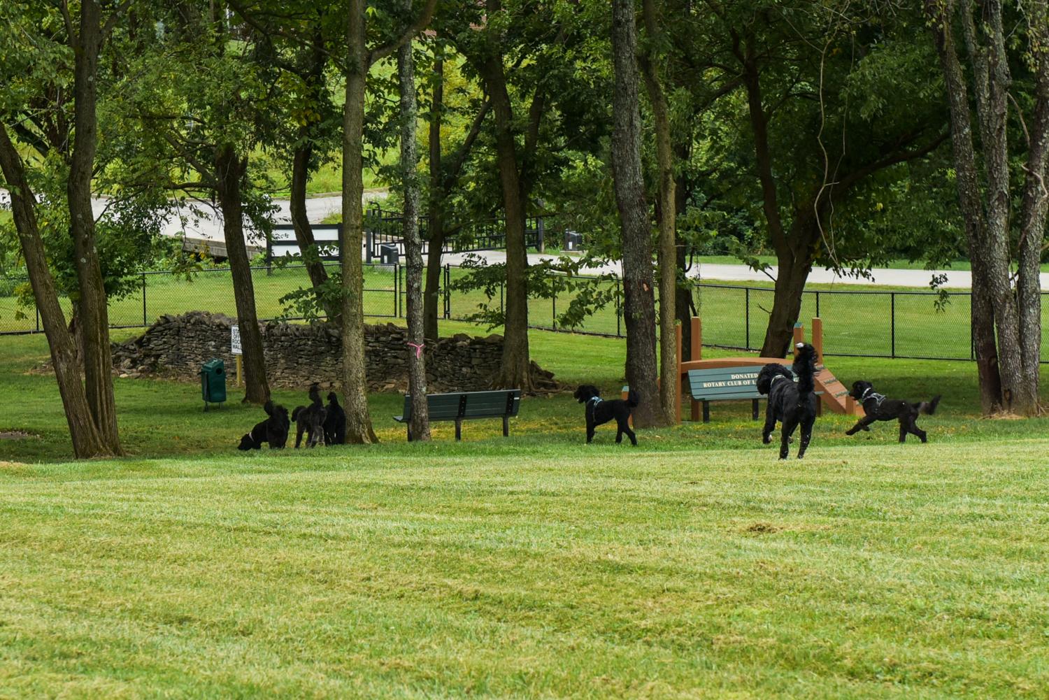 DSC_5413
