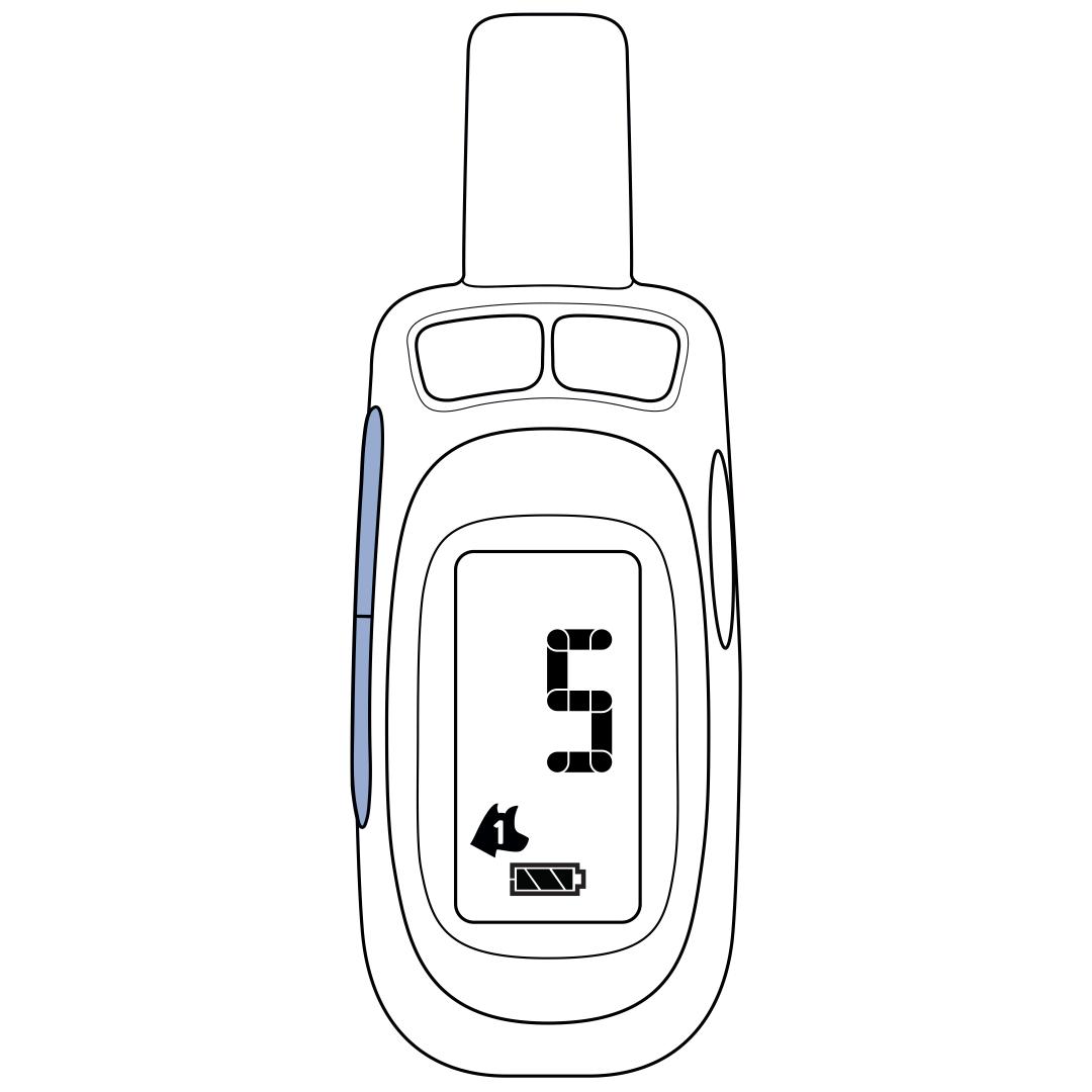 Set Remote To Spray