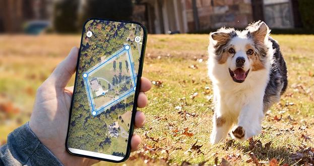 dogs freely running in yard while family plays catch and sits on blanket
