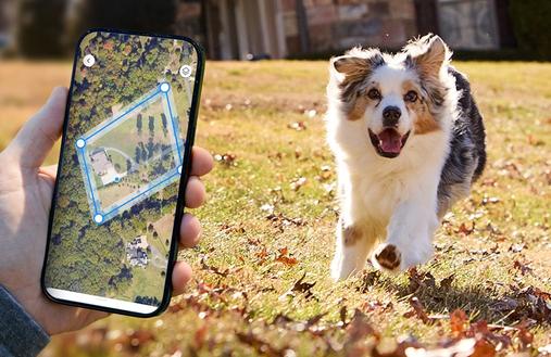 dogs freely running in yard wearing invisible fence GPS, owner holds iphone depicting GPS fence