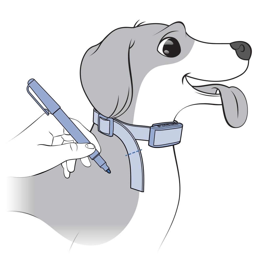 Trim Extra Strap On Dog