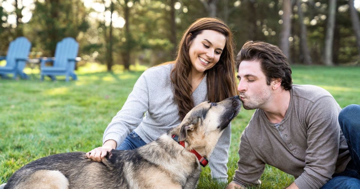 PetSafe Back to School Giveaway